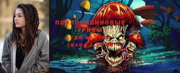 амф Абаза