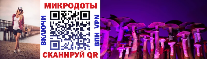 Галлюциногенные грибы Psilocybine cubensis  Камызяк 